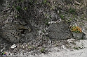 VBS_3196 - Mango (Cuneo) - Gnomovia